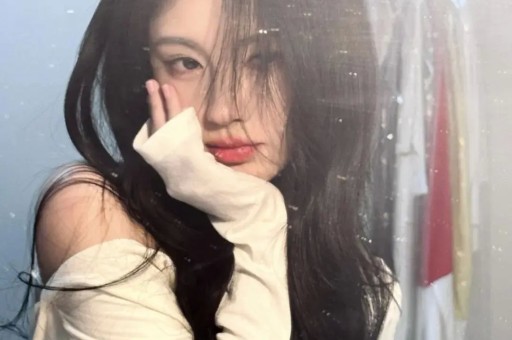 曾志伟打黄浩被拘已获保释盘点一线明星打人事件